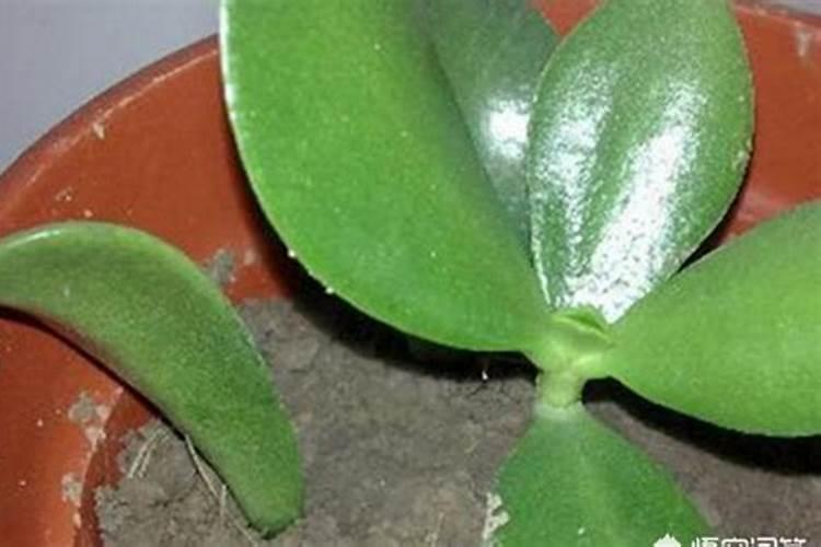 沁阳国企厂有哪些