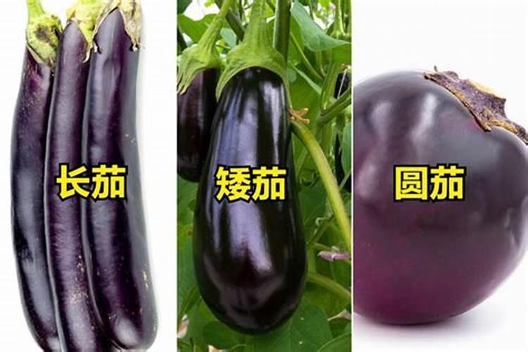 腐植酸水溶肥是什么肥料 腐植酸水溶肥料的作用有哪些