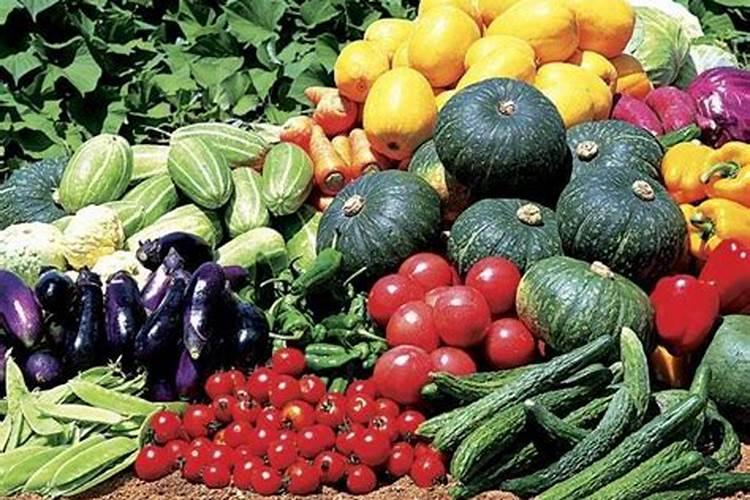 蔬菜上化肥和施农家肥长势都有哪些区别？该注意什么？