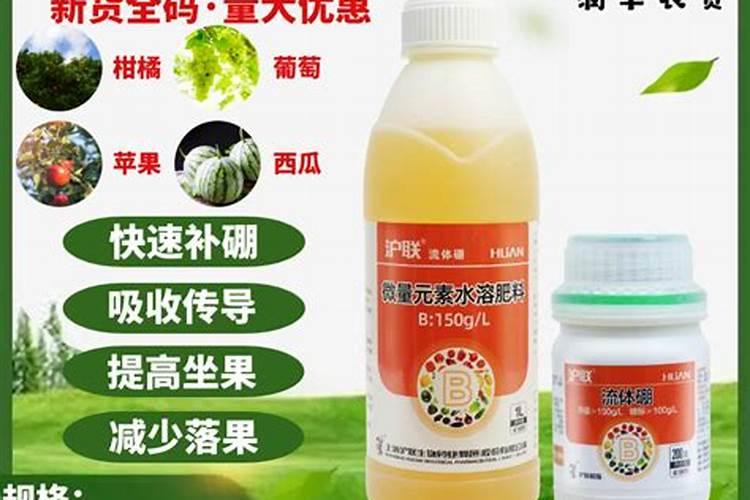 西瓜什么时候施硼肥