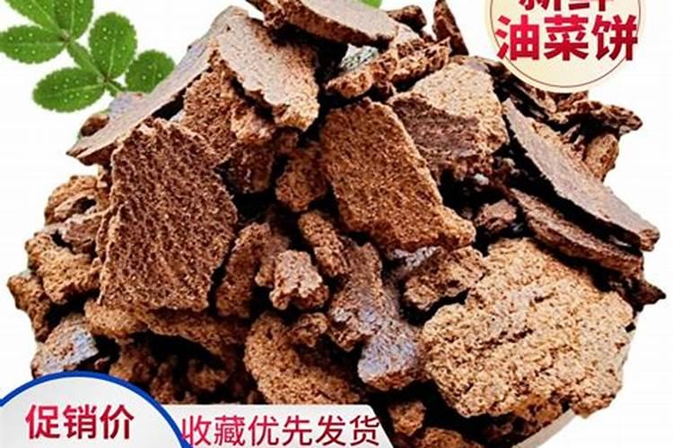 换盆多久能晒太阳 多久换盆才能晒阳光