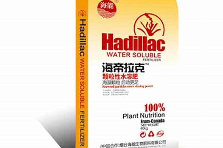 怎样种植地雷西瓜·