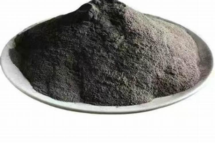 杨树怎么能长得快长得粗