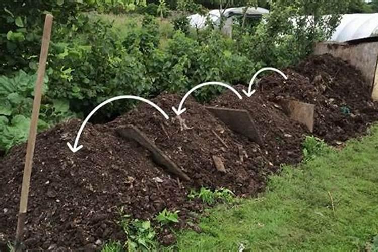 堆肥用过磷酸钙还是骨粉更好