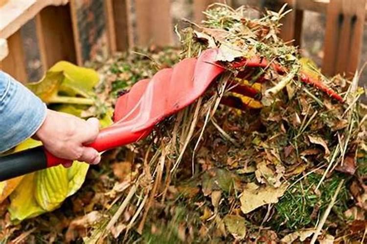 几种钙肥对于蘑菇培养料的作用各有何特点？