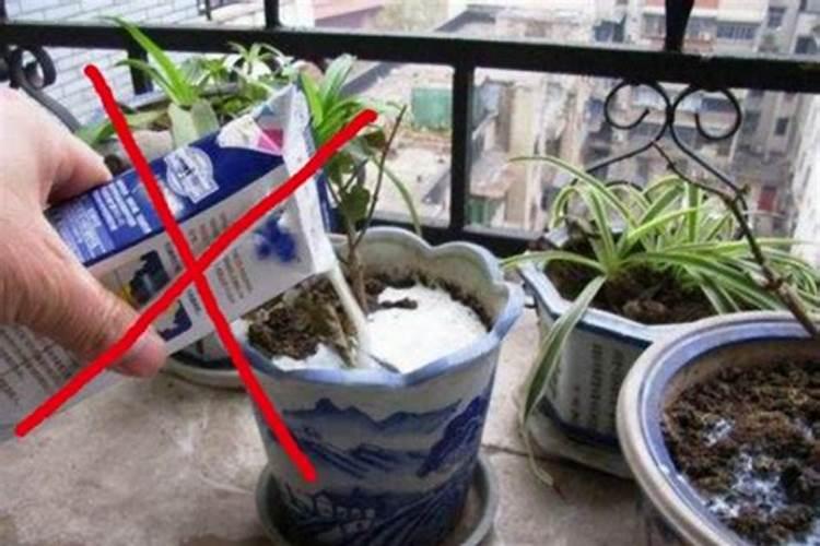 一亩地用多少硼肥