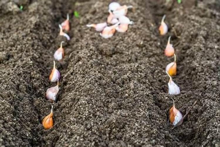 湖北东圣化工集团有限公司集团简介