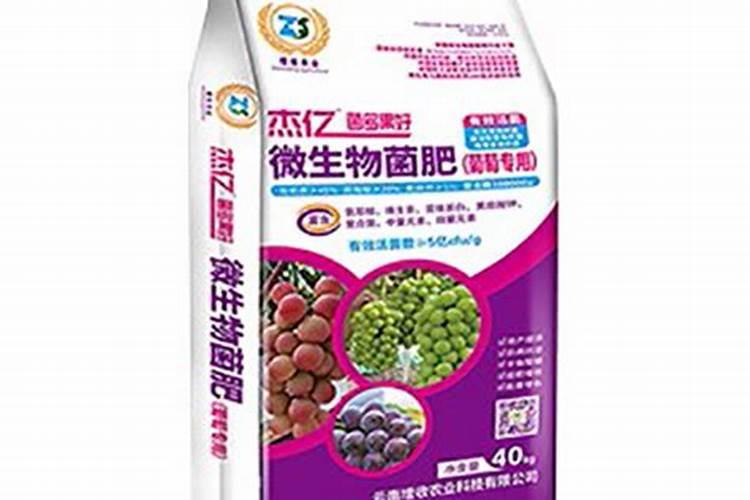 无花果施肥后怎么浇水