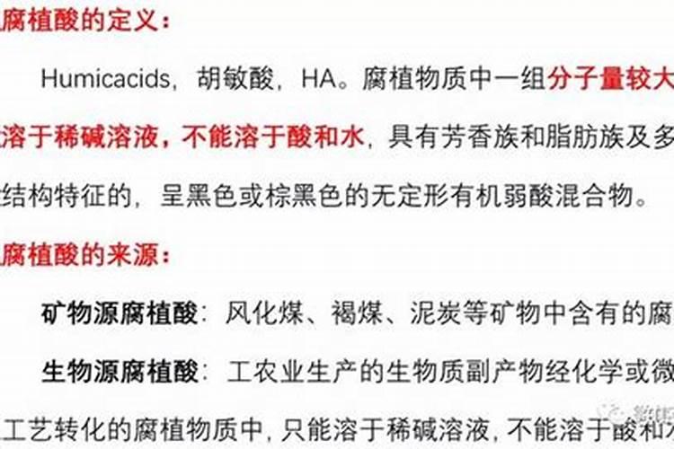 唐山云竹怎样养好