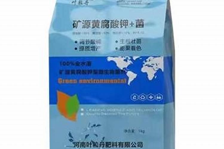 什么叫锁阳果(泡水喝壮阳