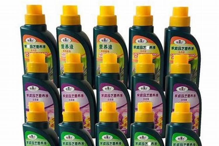 红掌适合什么肥料 红掌的正确施肥方法