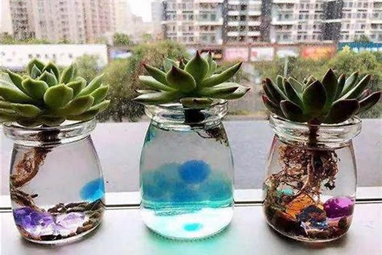 西红柿用什么钾肥好