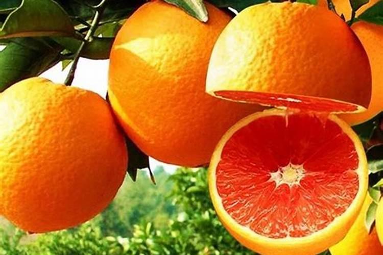 食用盐可以做肥料吗？