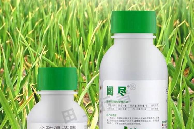 种大蒜用什么肥料好