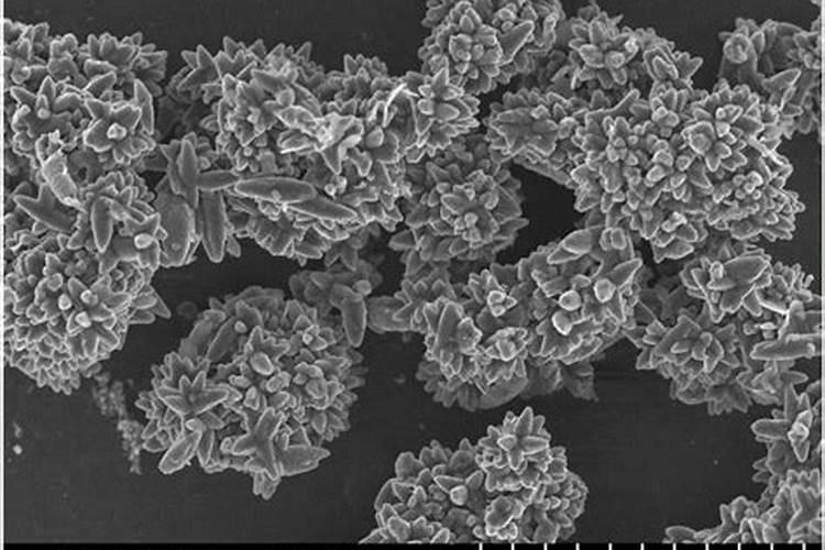 鸡蛋壳粉碎有什么好处
