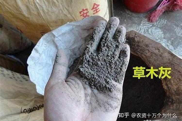 草木灰怎么施肥最好