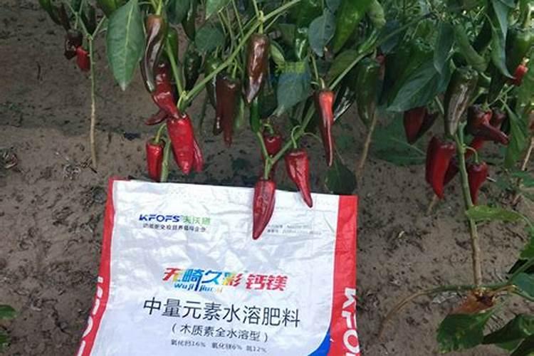 辣椒一亩施肥要多少斤肥？