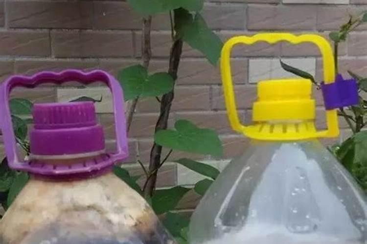 种植夏玉米需要的氮磷钾比例