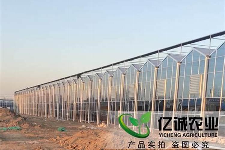 种木耳菜用什么土比较好