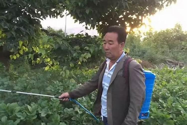 农药水剂和乳剂油剂掺混的顺序