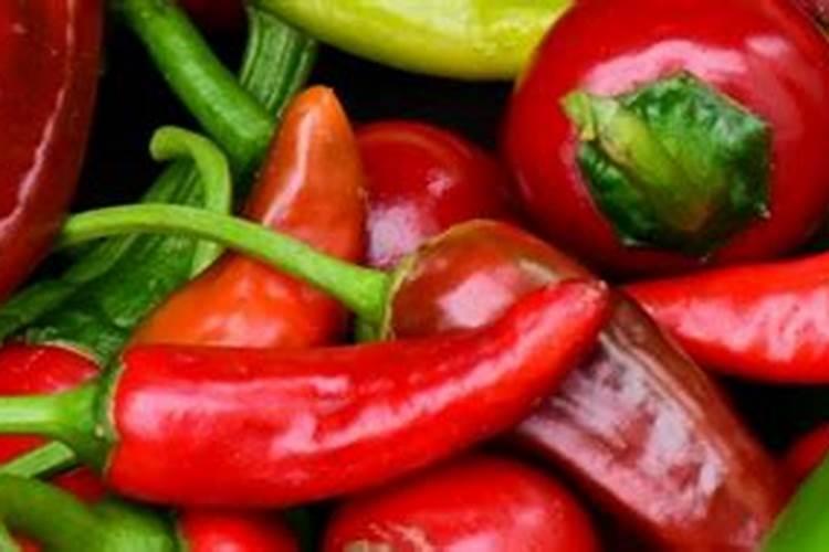 为什么辣椒不能用尿素施肥