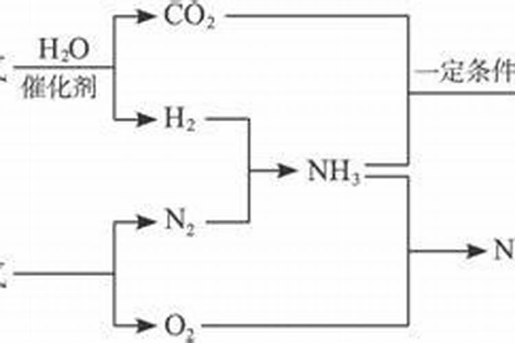 红薯上肥料什么时候用最好