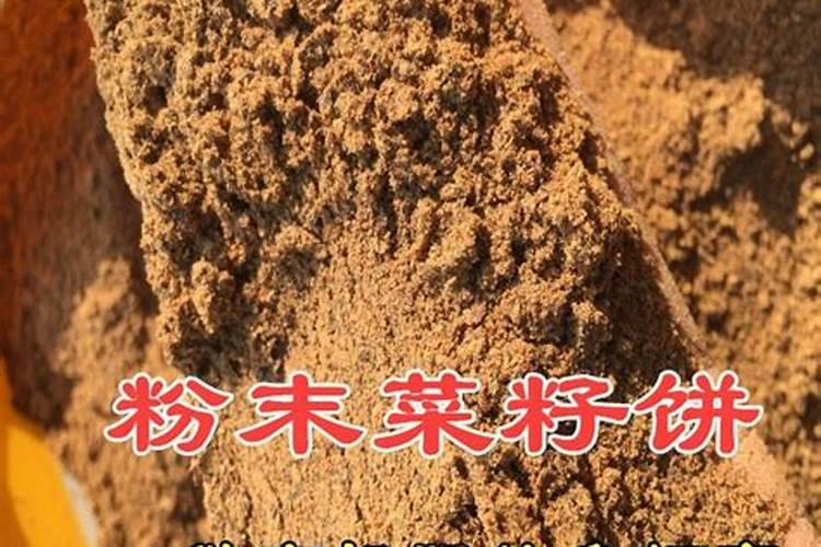 舟山农业银行周六上班吗