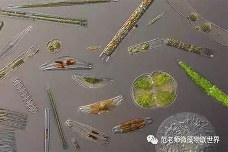 什么地质环境含硅比较多