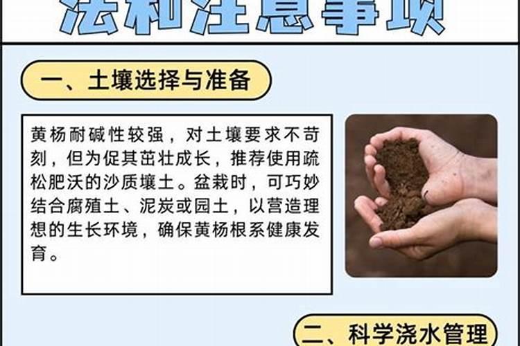 花卉几天施肥一次最好