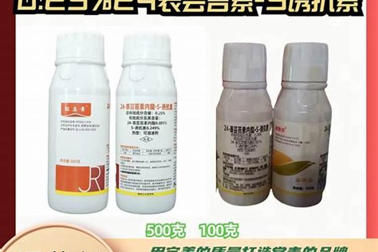 黄瓜施用叶面肥需要注意什么