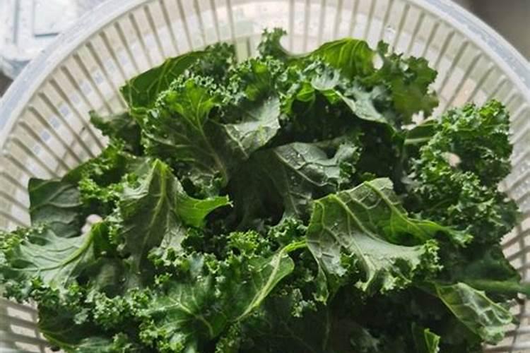 甘蔗中间有洞可以吃吗