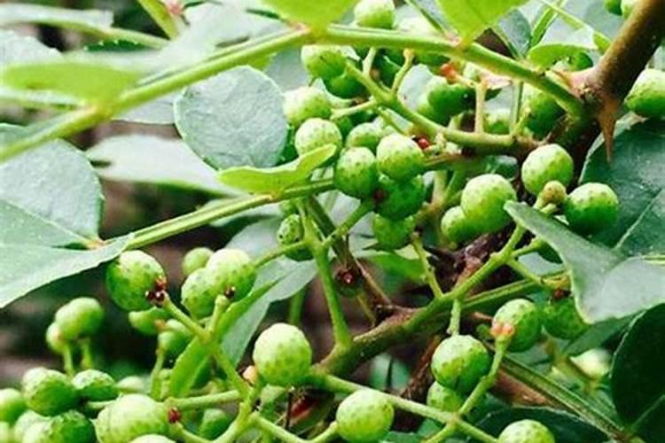 氮气转化为氮肥是什么变化/