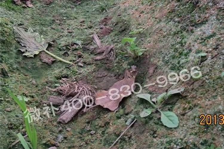 矿源黄腐酸钾的用量与用法