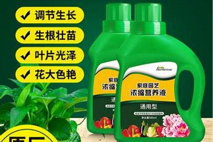 怎么给植物补钾效果好？