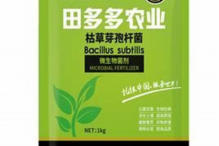 四季杜鹃茶花能用枯草芽孢杆菌吗？