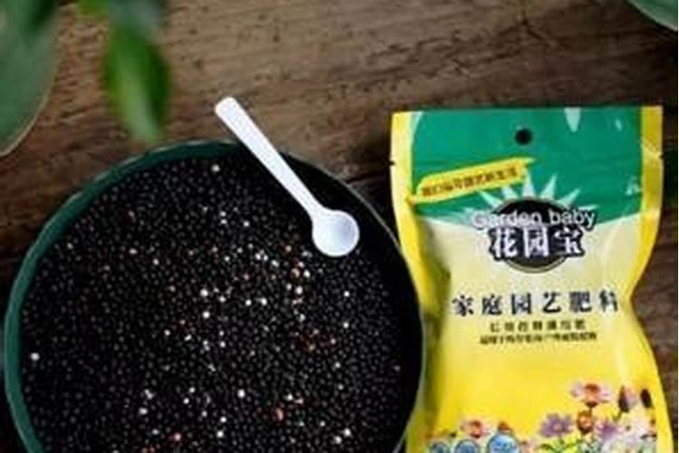 盆栽荷花冬天怎么保存