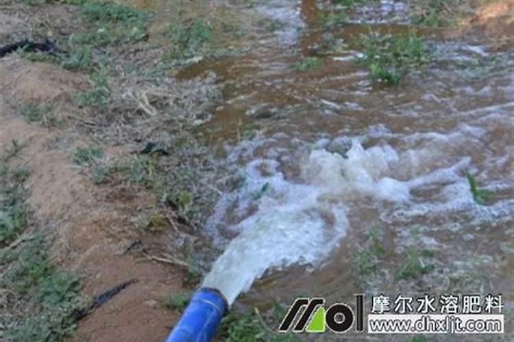 冲施肥稀释300倍怎么算