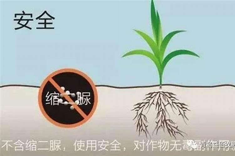 含缩二脲怎么给果树施