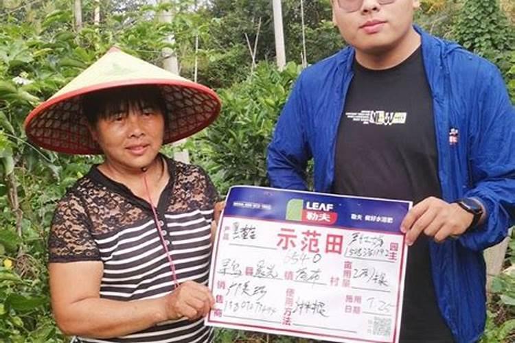 硝酸铵钙和磷肥一起使用