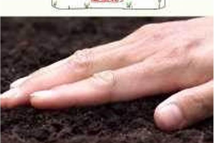 配制的液体水溶肥密度太小怎么办