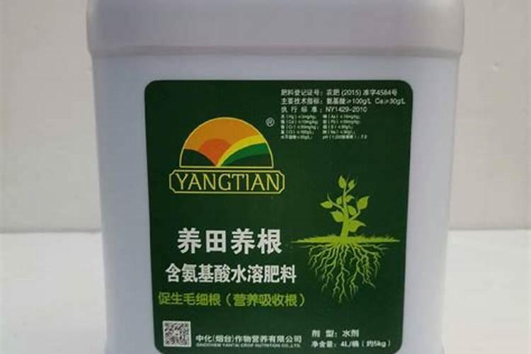 磷肥种花生怎么使用