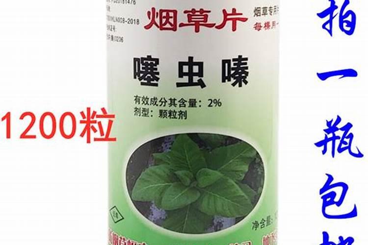 烤烟种植技术与方法