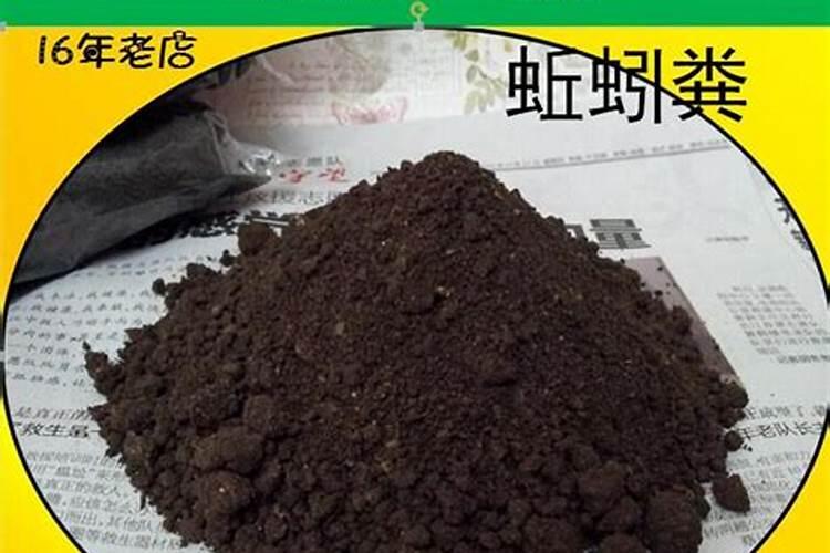 第一年栽的杨树能施肥吗