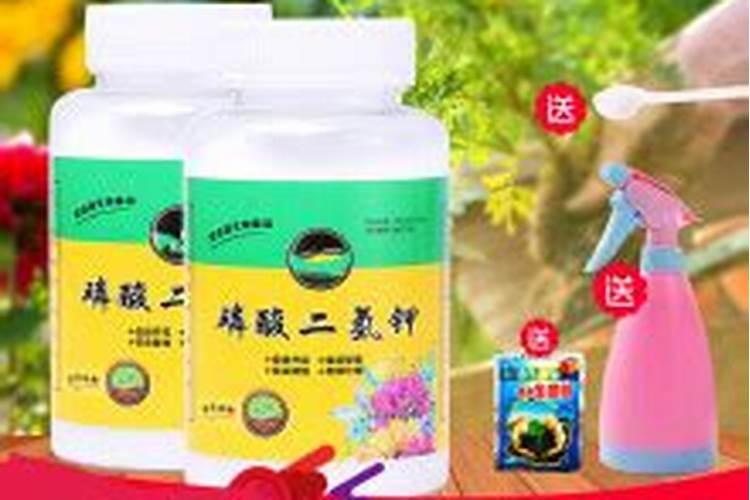 花生麸加水发酵有虫了咋办？