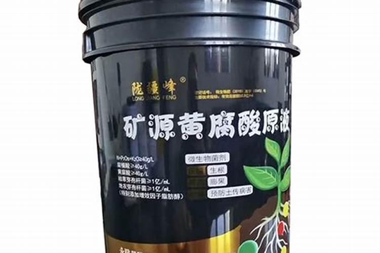 芒果苗种下去多久发芽 芒果苗种植后需要多长时间才能发芽