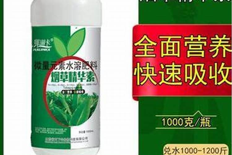 桔子树什么时候打药最好,打什么药好