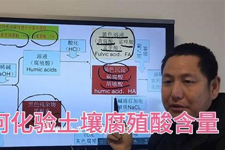 腐殖酸钠中黄腐酸含量的检测方法