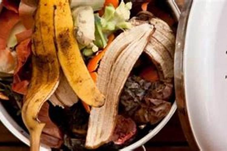 无土栽培营养液可以用什么代替