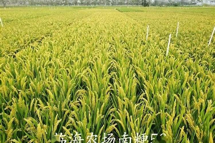 现在是冬季室内温度22一25度什么时间给花卉浇水施肥呢？