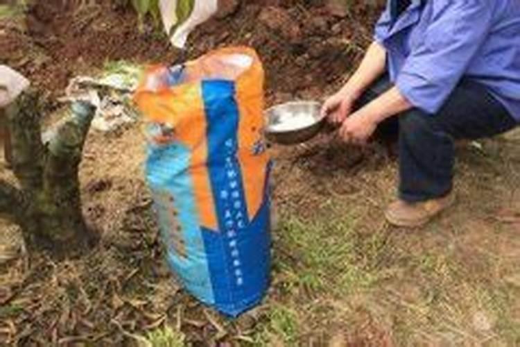 芸豆想要高产,要如何种植管理？